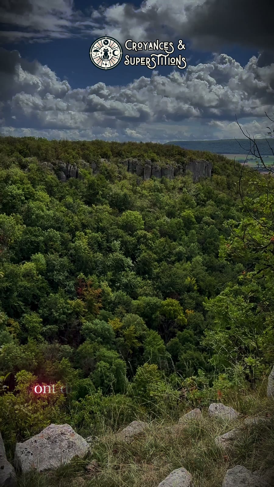Une forêt et des falaises sous un ciel chargé de nuages